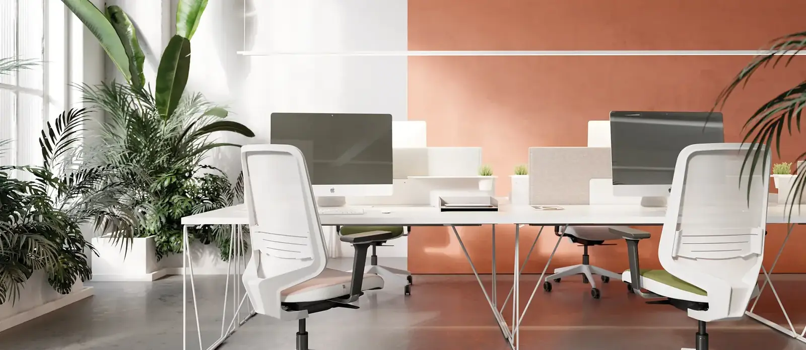 Dot.Pro, ambiente 2