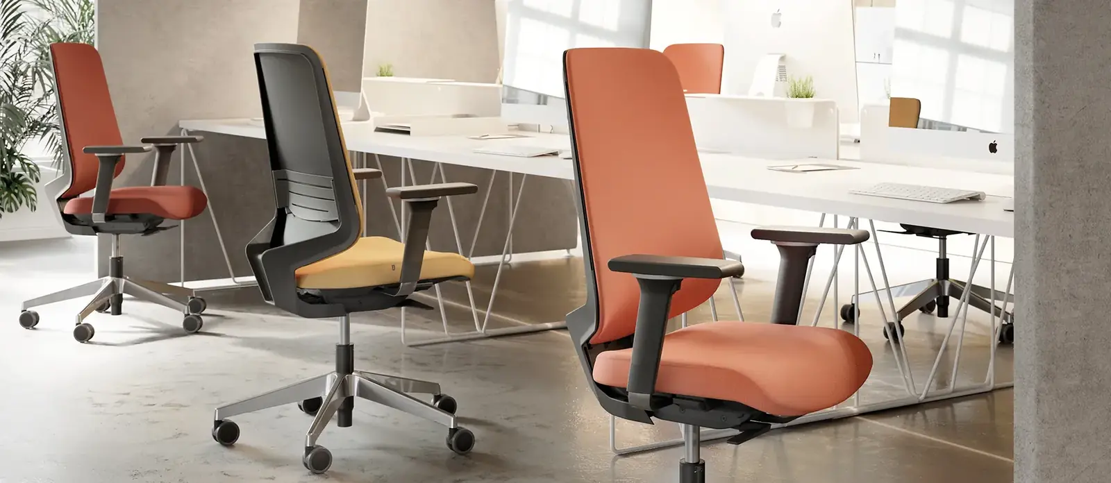Dot.Pro, ambiente 3