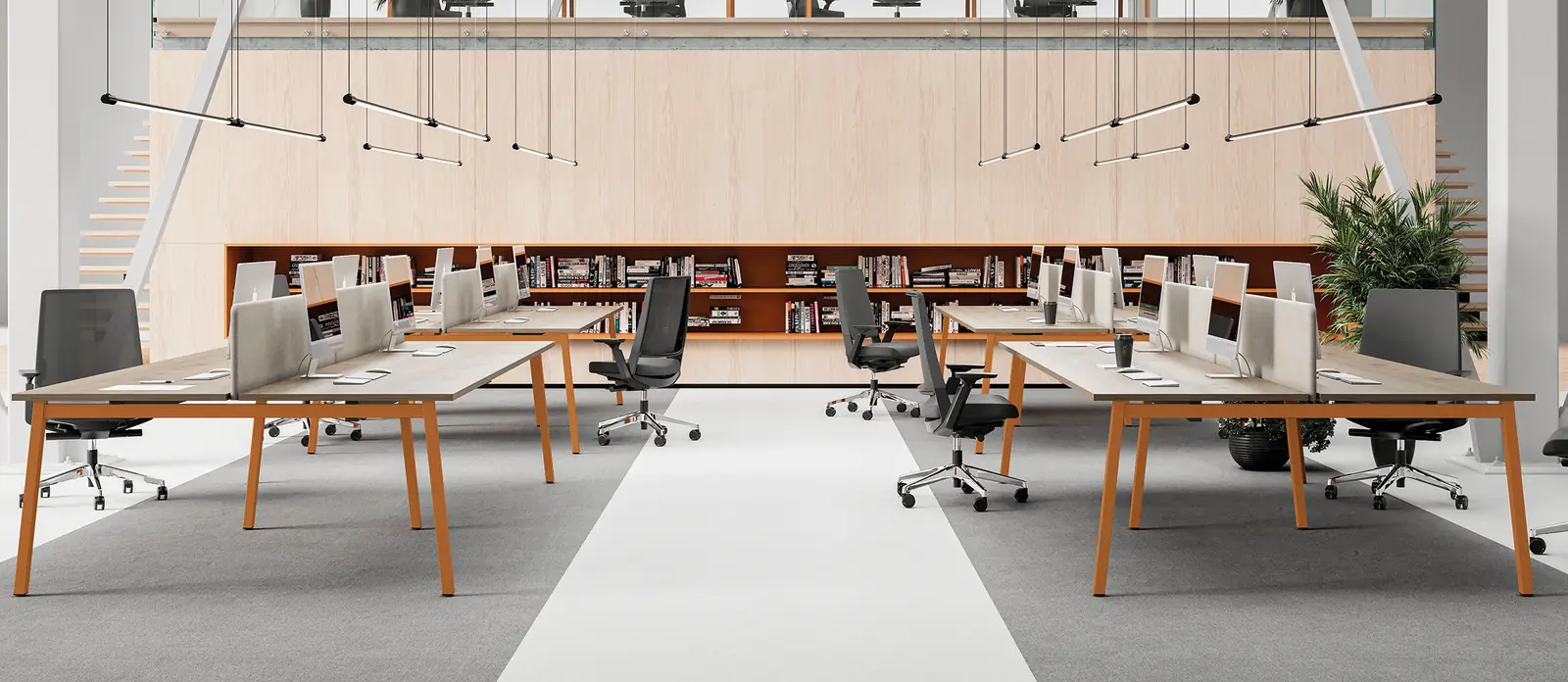 M-Next, ambiente 2