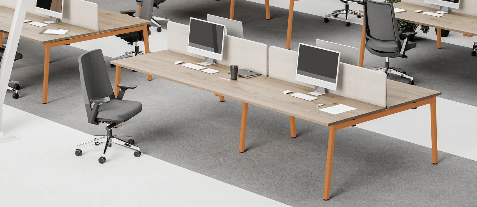 M-Next, ambiente 4