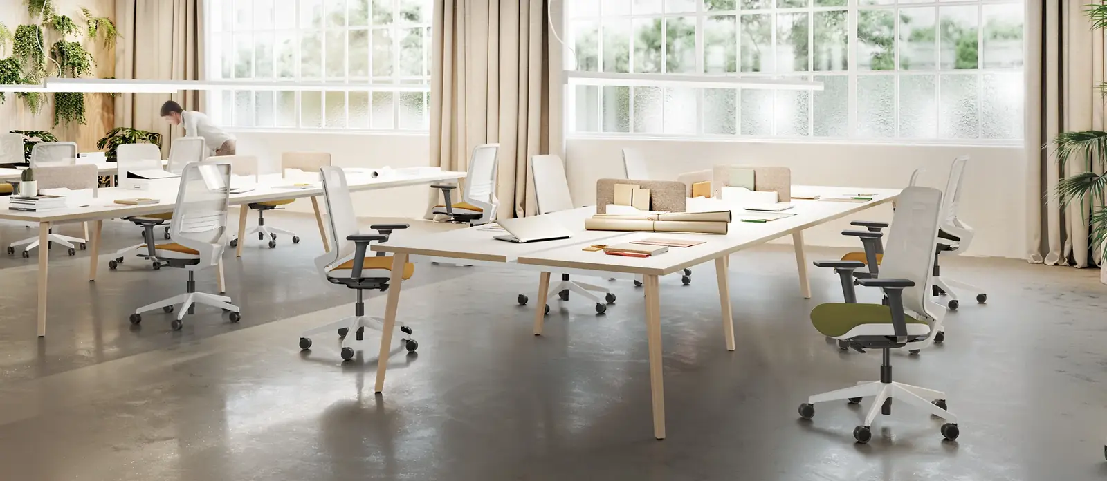 Timber, ambiente 1