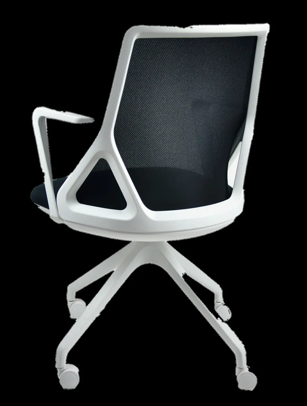 Silla Surf, foto 2