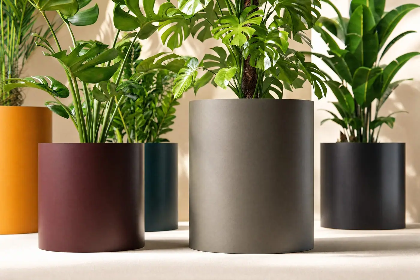 Planter 6400, foto 1