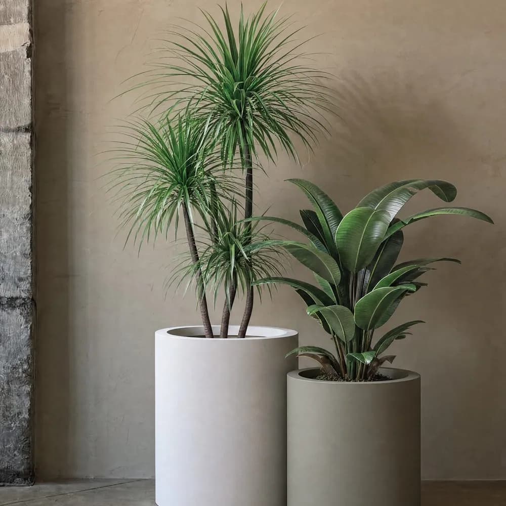 Planter 6400 de Planning Sisplamo